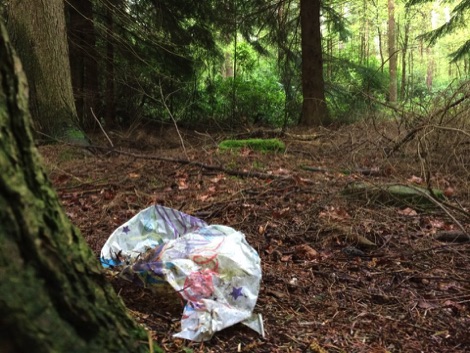 Ballloon in the woods