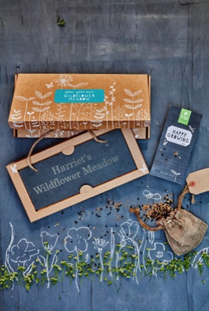 Gluttonous Gardener wildflower meadow kit