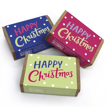 Seedball Christmas boxes