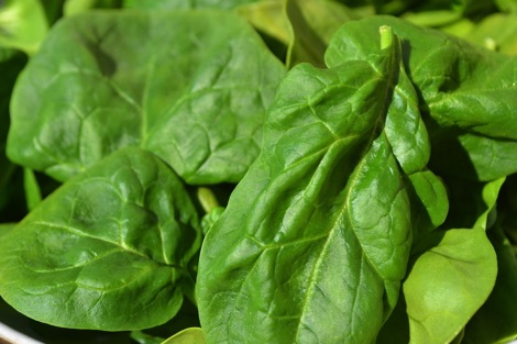 Spinach