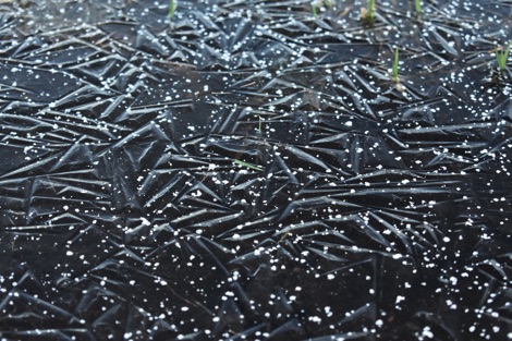 Icy pond