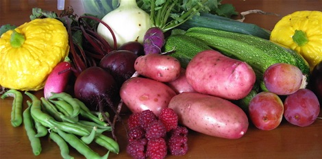 Vegetable harvest