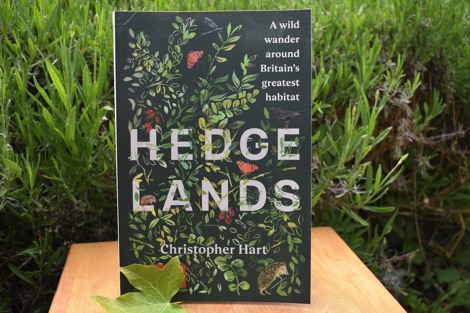 Christopher Hart Hedgelands book cover