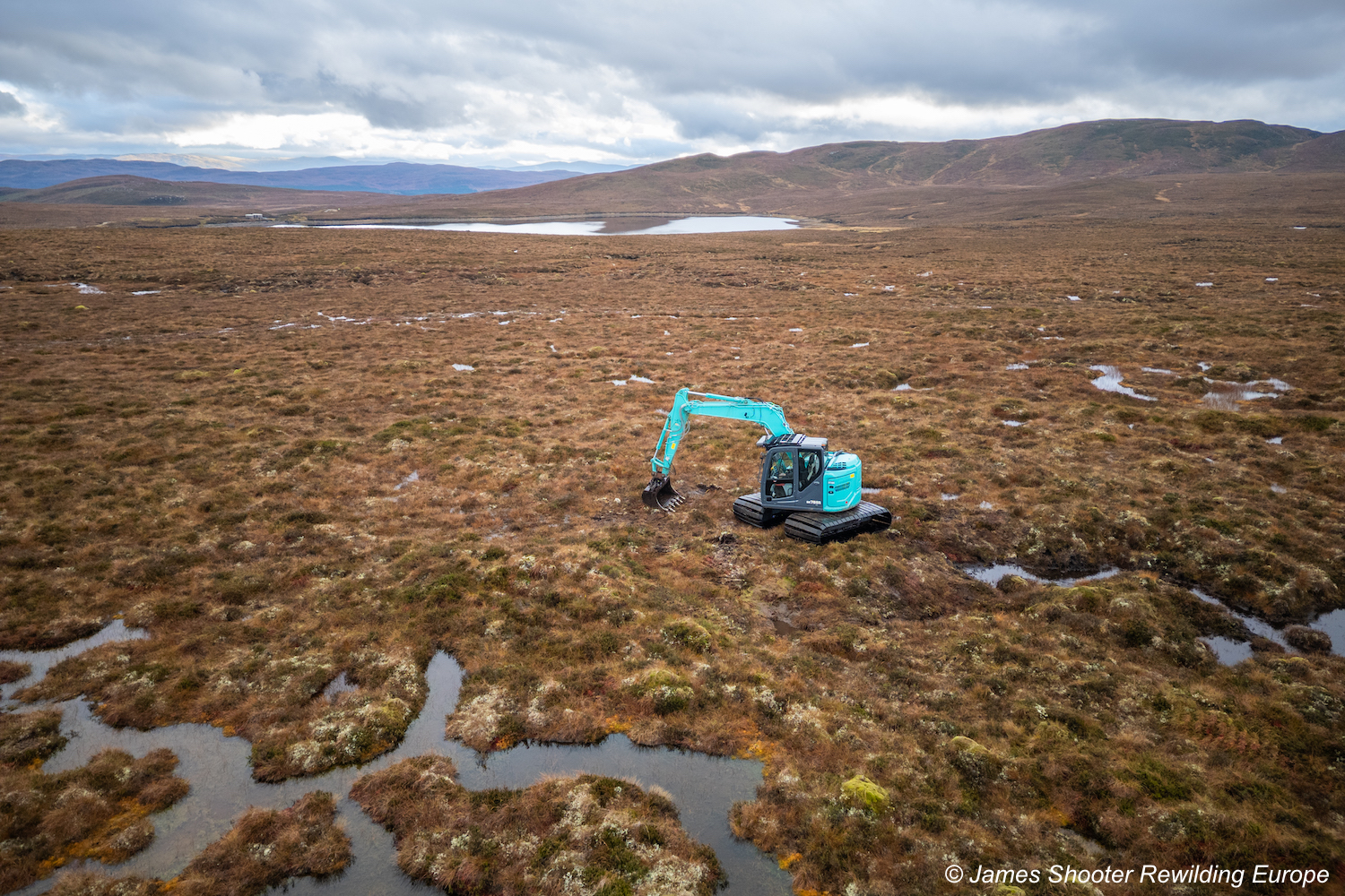Landscape of globally rare habitat restored near Loch Ness in one of ...