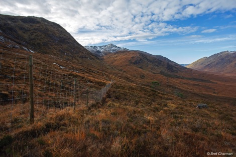 Deer fences at Glen Loyne
