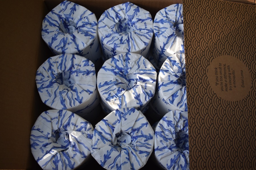 Review of Bumboo sustainable bamboo toilet paper | Little Green Space