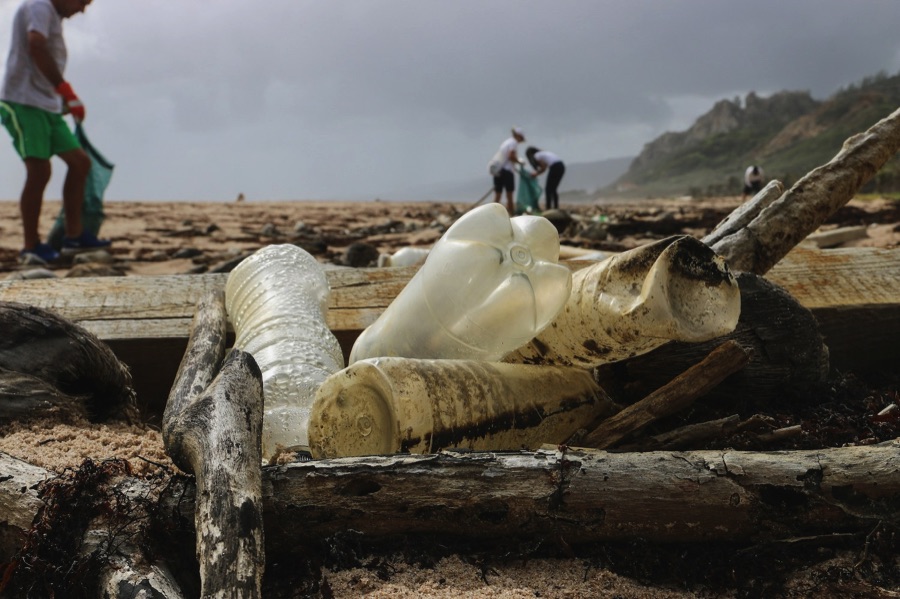 Collecting plastic litter on the beach